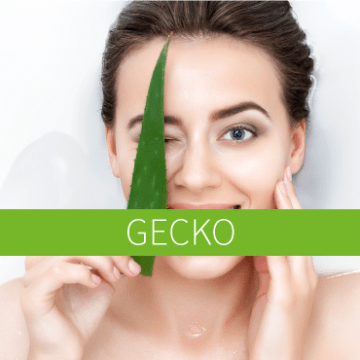 Gecko - Wall Deco